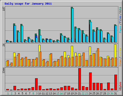 Daily usage for January 2011