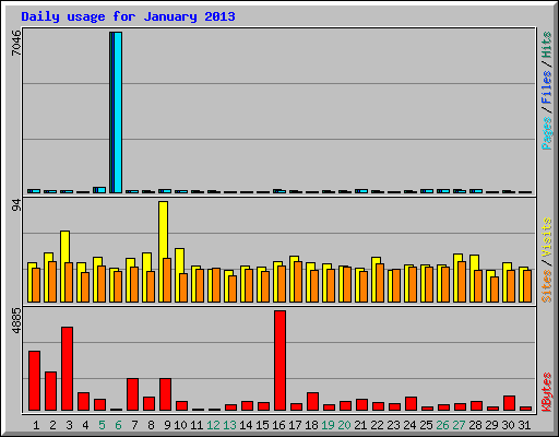 Daily usage for January 2013