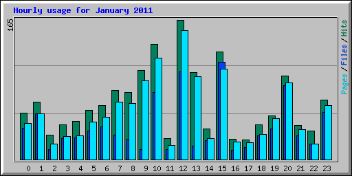 Hourly usage for January 2011