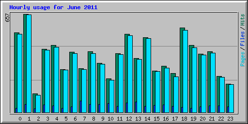 Hourly usage for June 2011