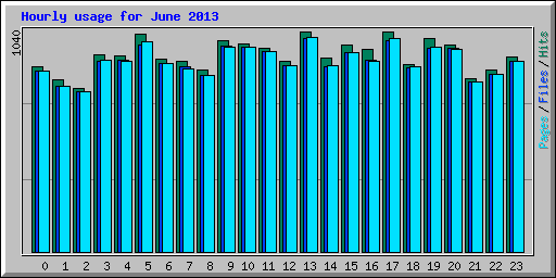 Hourly usage for June 2013
