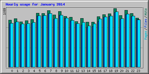 Hourly usage for January 2014