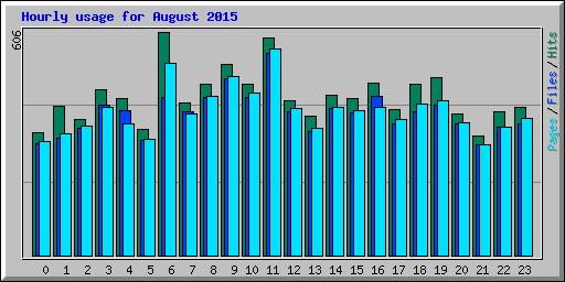 Hourly usage for August 2015