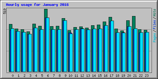 Hourly usage for January 2016
