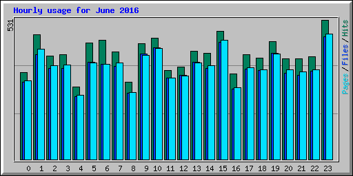 Hourly usage for June 2016