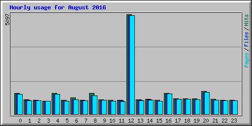 Hourly usage for August 2016