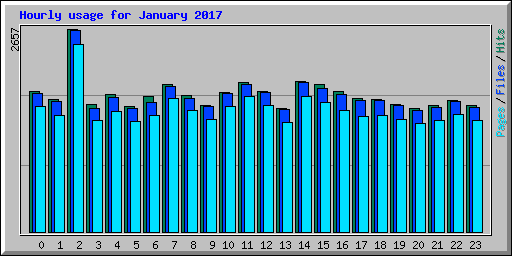 Hourly usage for January 2017