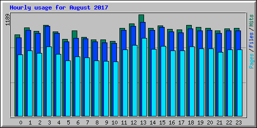 Hourly usage for August 2017